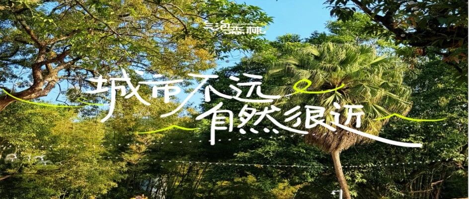 新闻图