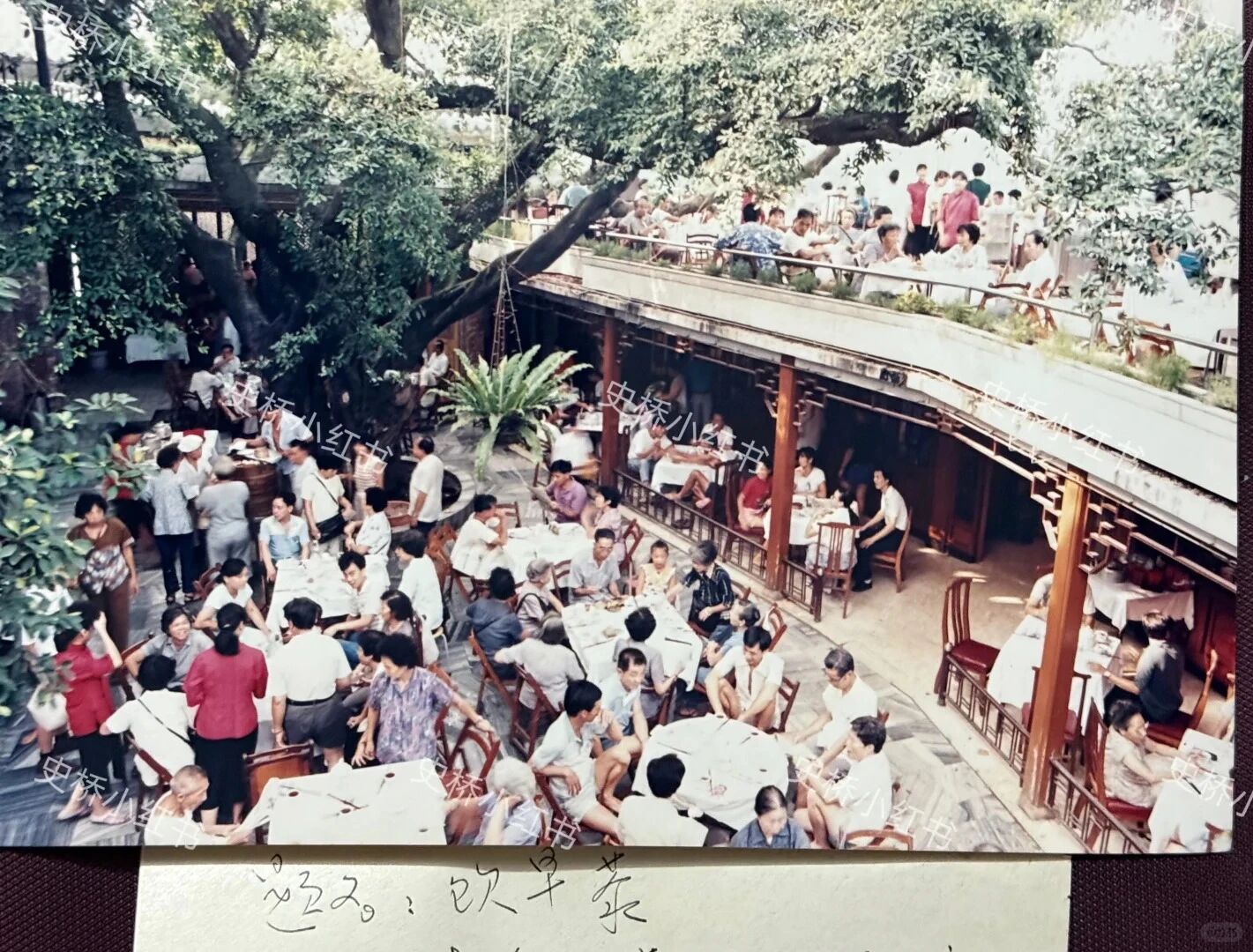 19.jpg